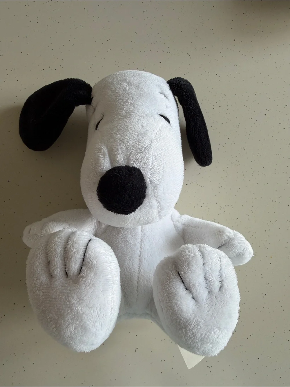 DanDee Snoopy plush toy